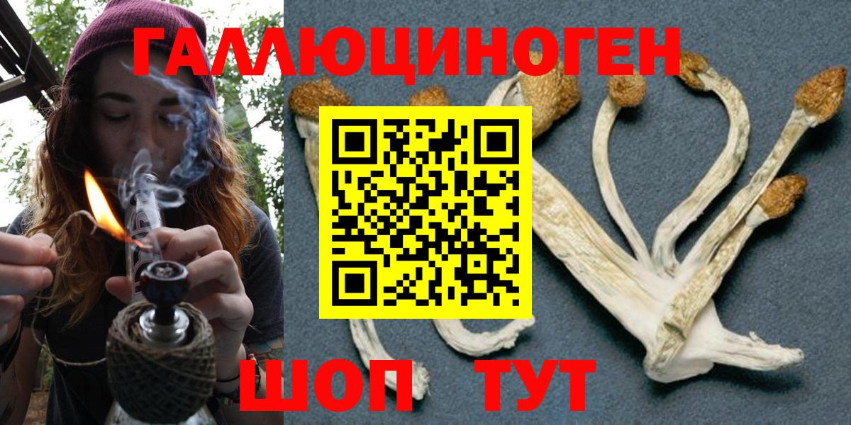 продажа наркотиков  Галлюциногенные грибы прущие грибы  Вход с VPN  Галлюциногенные грибы Magic Shrooms  Малоярославец 